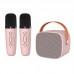 2025 newest model microphone speaker bluetooth speaker wireless speaker for children